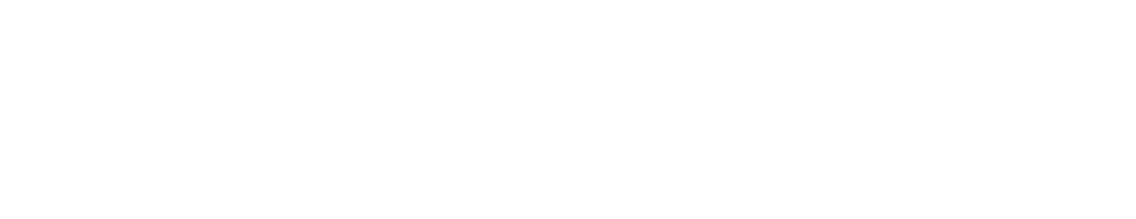 Zenvita